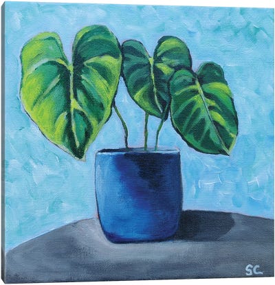 Little Plant Canvas Art Print - Silan Chen