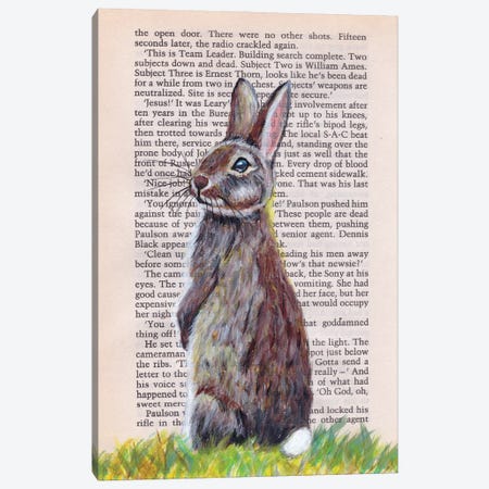 Rabbit Canvas Print #SNC40} by Silan Chen Canvas Art Print