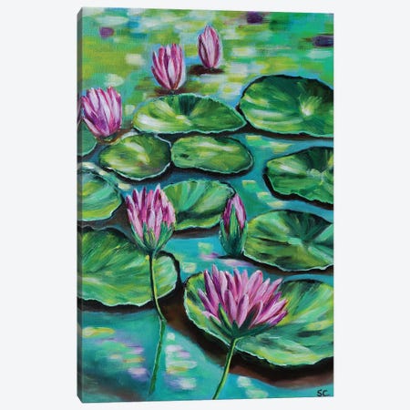 Pink Water Lilies Canvas Print #SNC8} by Silan Chen Art Print