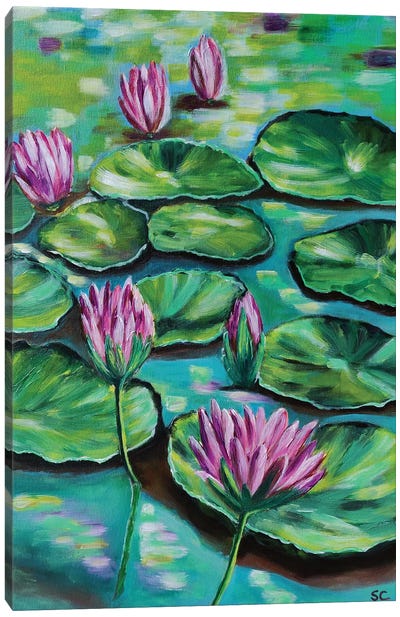 Pink Water Lilies Canvas Art Print - Water Lilies Collection