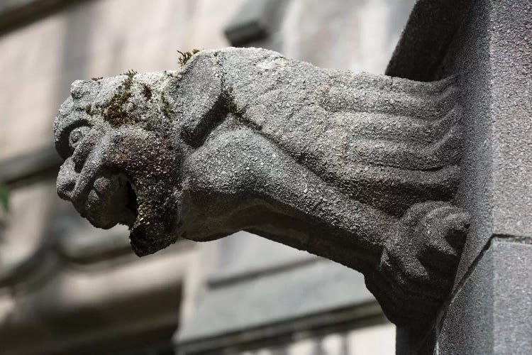 University of Washington, Seattle, Washington State. Architectural detail, gargoyle