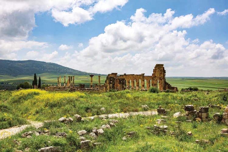 Volubilis, Morocco. Basilica and capitol Roman ruins, Volubilis