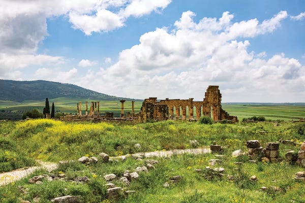 Jolly Sienda: Volubilis, Morocco. Basilica and capitol Roman ruins, Volubilis by Jolly Sienda