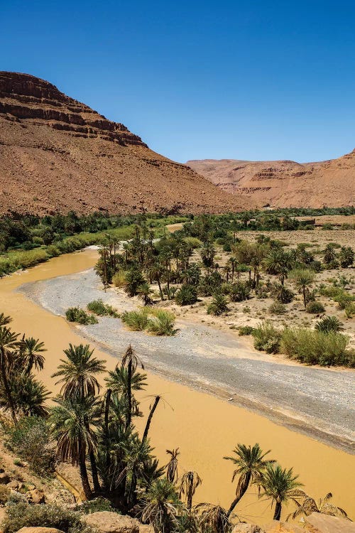 Ziz Valley, Morocco. Ziz Valley Gorge and palm trees