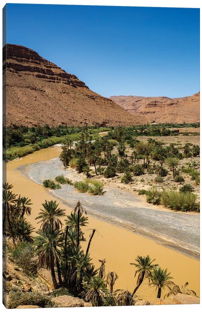 Ziz Valley, Morocco. Ziz Valley Gorge and palm trees Canvas Art Print - Morocco