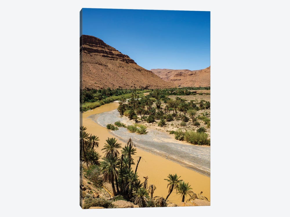 Ziz Valley, Morocco. Ziz Valley Gorge and palm trees by Jolly Sienda 1-piece Canvas Wall Art