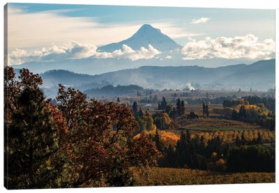 USA, Oregon. Mount Hood autumn landscape scenery. Canvas Art Print - Mount Hood