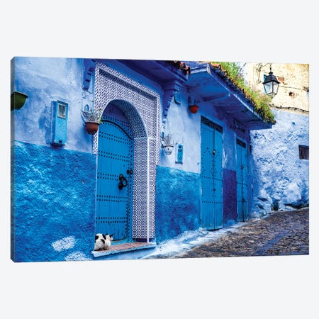 Chefchaouen, Morocco. Cat and blue door and buildings Canvas Print #SND8} by Jolly Sienda Canvas Wall Art