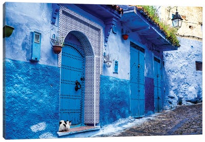Chefchaouen, Morocco. Cat and blue door and buildings Canvas Art Print