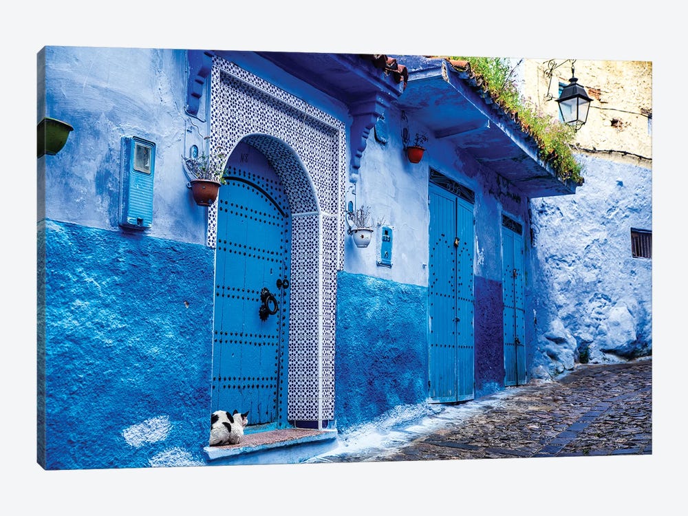Chefchaouen, Morocco. Cat and blue door and buildings by Jolly Sienda 1-piece Canvas Art