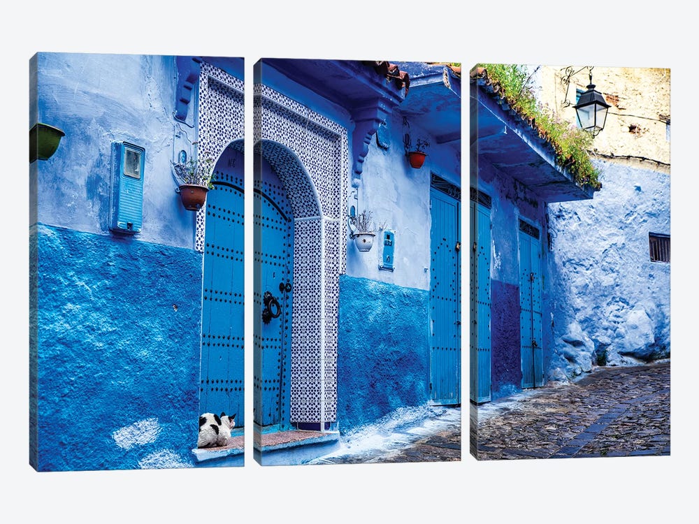 Chefchaouen, Morocco. Cat and blue door and buildings by Jolly Sienda 3-piece Canvas Wall Art