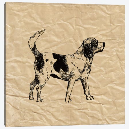 Beagle Canvas Print #SNE1} by Sabine Berg Canvas Art Print
