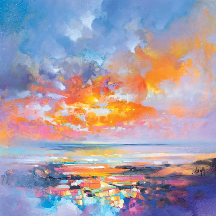 Hebridean Particles by Scott Naismith wall art