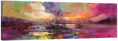 Loch Fyne Colour Canvas Art Print - Sky Art