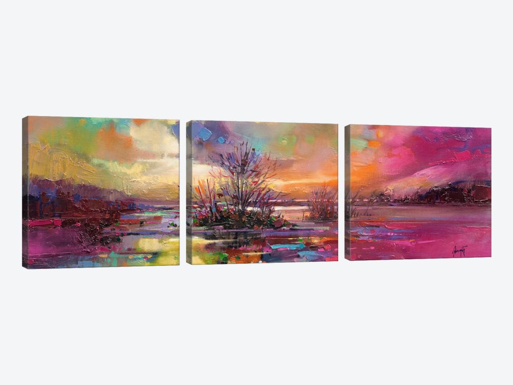 Loch Fyne Colour by Scott Naismith 3-piece Canvas Art