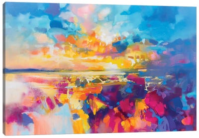 Acoustic Colour I Canvas Art Print - Scott Naismith