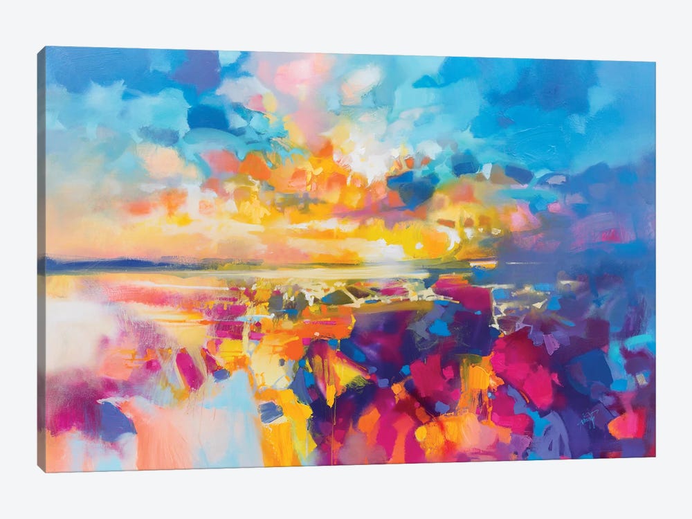 Acoustic Colour I by Scott Naismith 1-piece Canvas Artwork