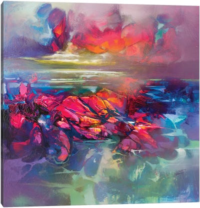 Below The Surface Canvas Art Print - Scott Naismith