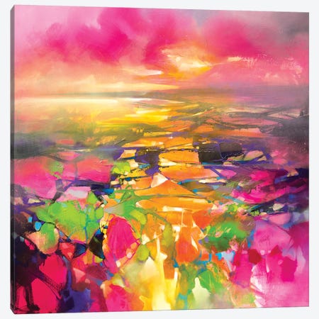 Fragments from Above Canvas Print #SNH155} by Scott Naismith Canvas Art Print