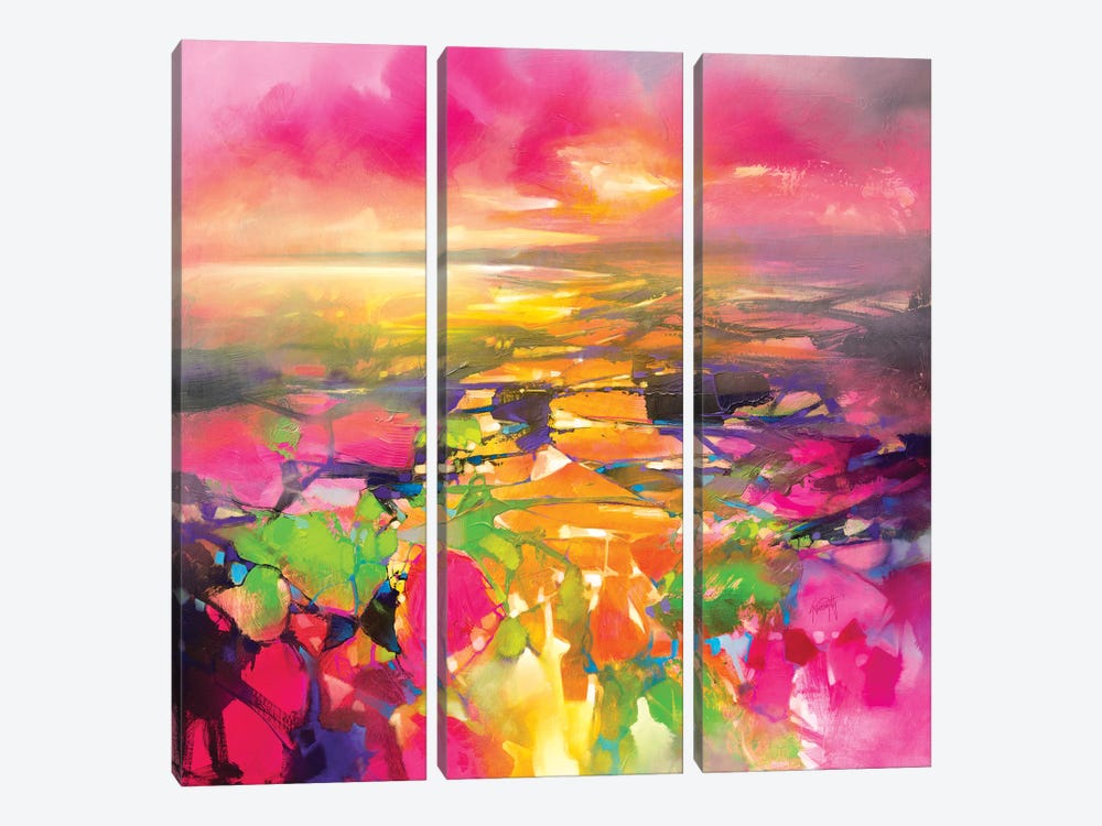 Fragments from Above by Scott Naismith 3-piece Canvas Artwork