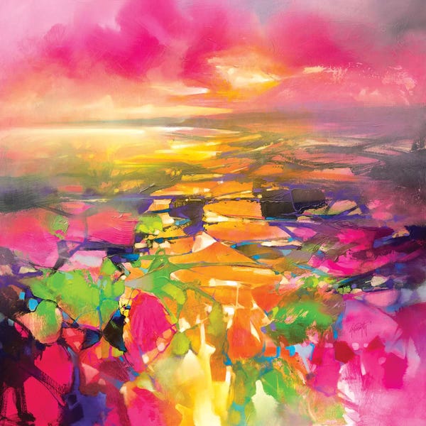 Colorful Abstracts: Fragments from Above by Scott Naismith