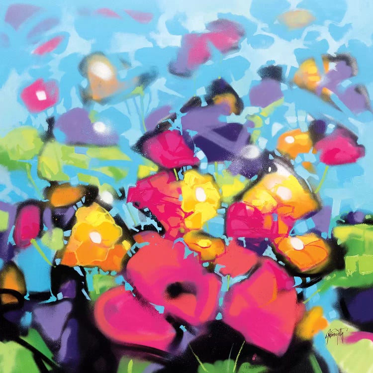Scattered Colour II by Scott Naismith wall art