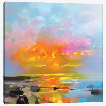 Sunset Fragments Canvas Print #SNH169} by Scott Naismith Canvas Print
