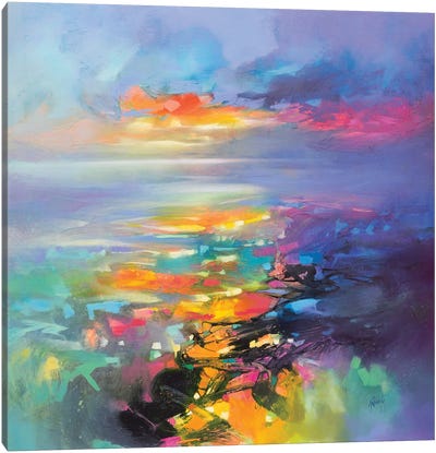 Euphoric Flight Canvas Art Print - Lake & Ocean Sunrise & Sunset Art