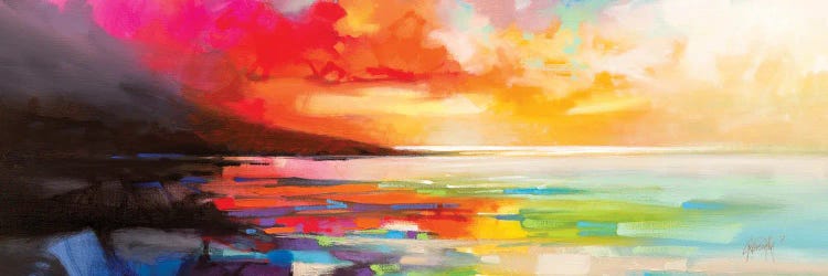 Chaotic Order by Scott Naismith wall art