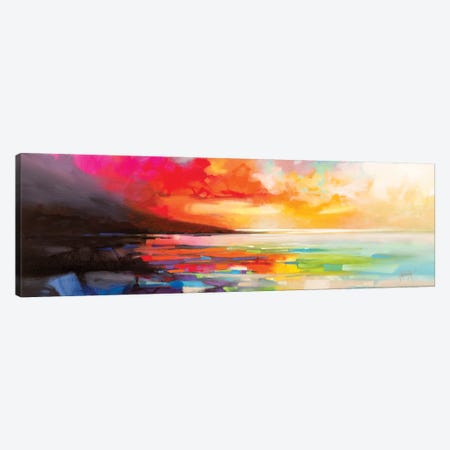Chaotic Order Canvas Print #SNH178} by Scott Naismith Canvas Wall Art