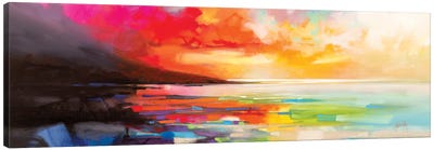 Chaotic Order Canvas Art Print - Cloudy Sunset Art