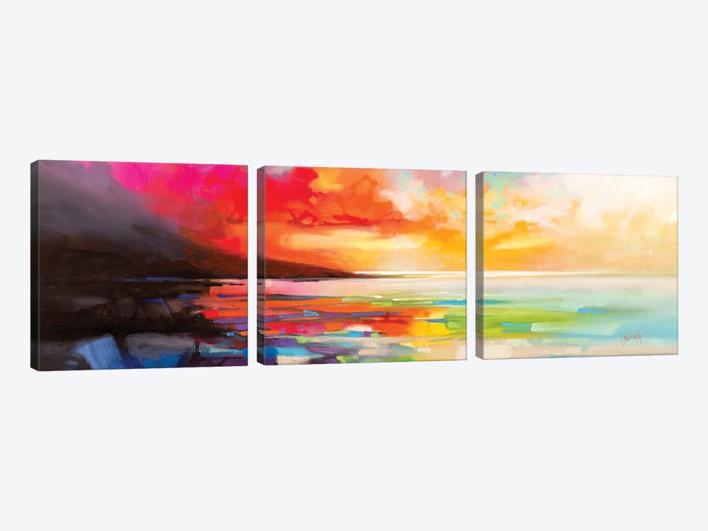 Chaotic Order by Scott Naismith 3-piece Canvas Print