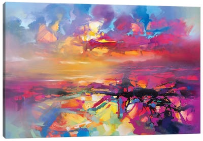 Electric Universe Canvas Art Print - Cloudy Sunset Art