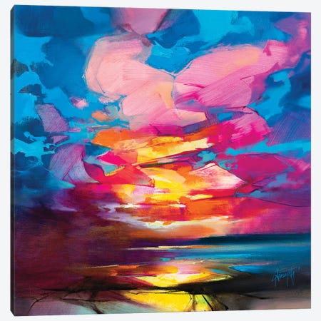 Out Of Chaos I Canvas Print #SNH186} by Scott Naismith Canvas Art