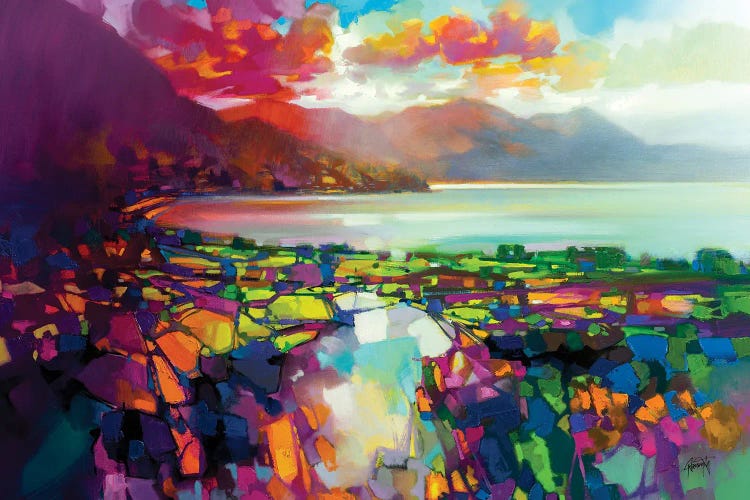 Highland Rhythmn by Scott Naismith wall art