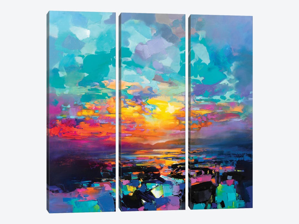 Beyond The Chaos by Scott Naismith 3-piece Canvas Wall Art