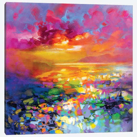Colour Frequency I Canvas Print #SNH200} by Scott Naismith Canvas Art
