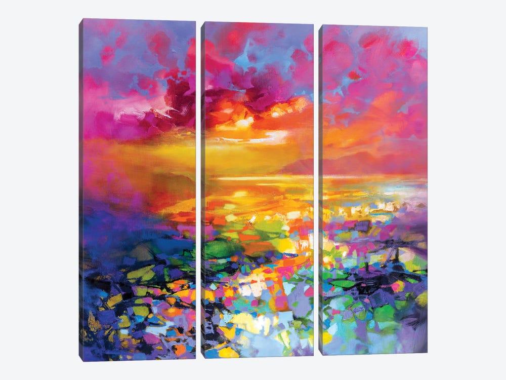 Colour Frequency I by Scott Naismith 3-piece Canvas Wall Art