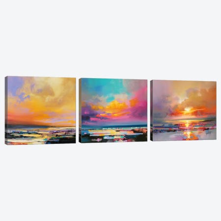 Diminuendo Sky Triptych Canvas Print Set #SNH3HSET002} by Scott Naismith Canvas Art