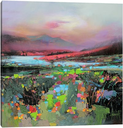 Highland Colour Canvas Art Print - Colorful Spring