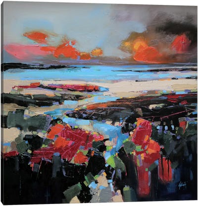 Colours Of Barra Canvas Art Print - Scott Naismith