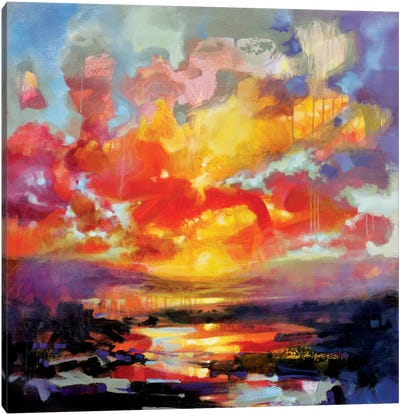 Emerging Canvas Art Print - Cloudy Sunset Art