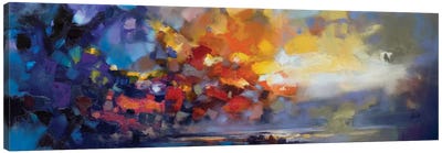 Molecular Light Canvas Art Print - Large Scenic & Landscape Art