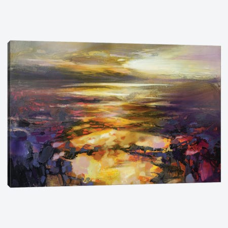Path Of Reflections Canvas Print #SNH76} by Scott Naismith Canvas Wall Art