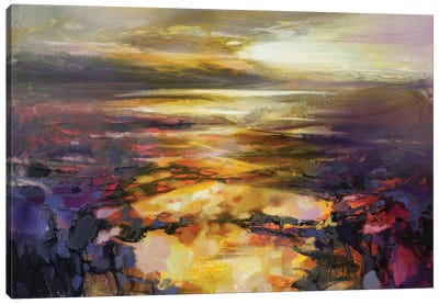 Path Of Reflections Canvas Art Print - Sunrise & Sunset Art