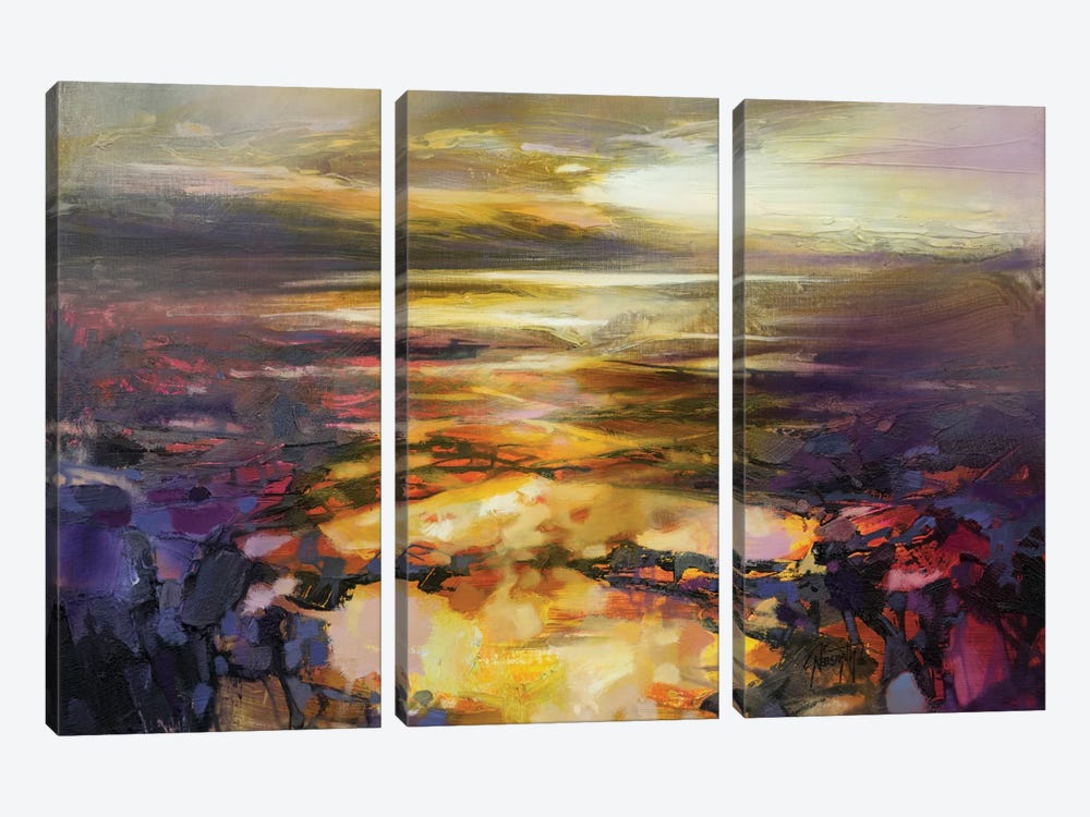 Path Of Reflections by Scott Naismith 3-piece Canvas Art Print