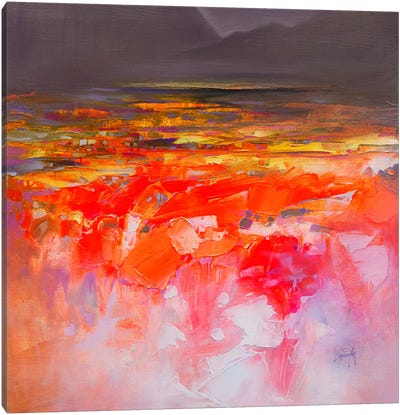 Fluid Dynamics III Canvas Art Print - Sunsets & The Sea