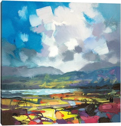 April Colour Study Canvas Art Print - Scott Naismith