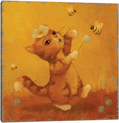 Cat And Bees Canvas Art Print - Holumpa