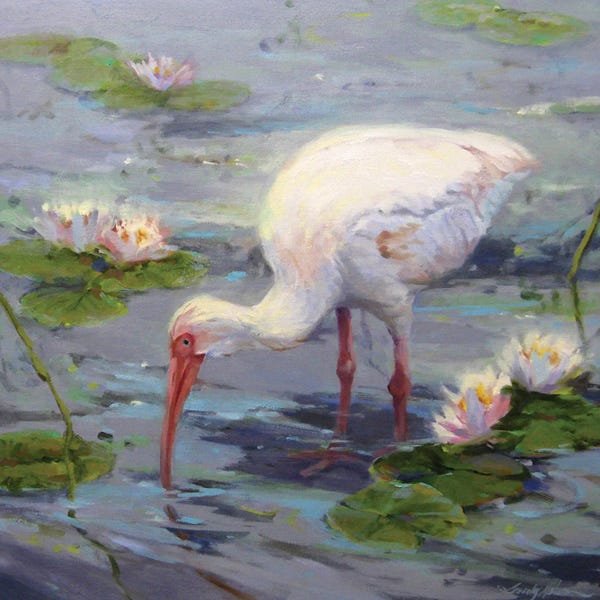 Water Lilies: Ibis And Lilies by Sandy Nelson